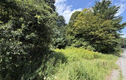 Ny 22, Hillsdale, NY 12529