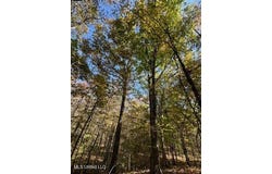 Perry Chapel Road, Ashland, MS 38603