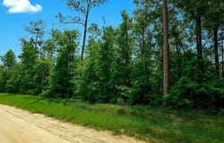 LOT31 NW 23RD BLVD, Jennings, FL 32053