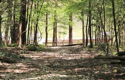 695 Waterview Lane, Cub Run, KY 42729