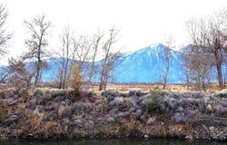 521 Wyatt Lane lot: 1200-10-201-013, Gardnerville, NV 89410