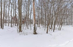 Lot 32 SNOWSHOE COURT, MC HENRY, MD 21541