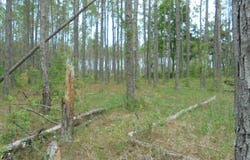 0 US 19 South, Perry, FL 32348