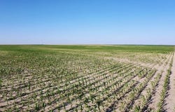 TBD Road G, Syracuse, KS 67878