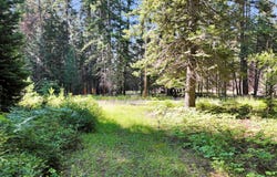 238 RUSTIC RD, CUSICK, WA 99119