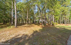 242 River Woods Drive, Wallace, NC 28466