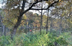 673 S Cygnet Lake Drive, Benton Harbor, MI 49022