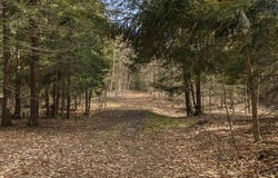 00 BENZIE HIGHWAY, JOYFIELD TWP, MI 49616