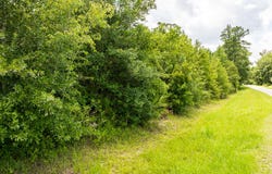23.15 Acres Spanish Creek, Folkston, GA 31537