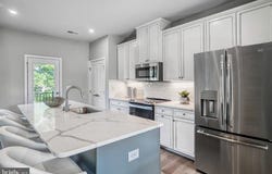 19726 CANOPY LOOP, MONTGOMERY VILLAGE, MD 20886