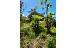 18-2300 ROAD 9, Volcano, HI 96785