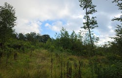 0WP Owego Hill Rd, Harford, NY 13803