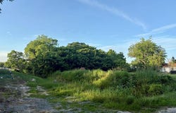 W Pope Street, Sylvester, GA 31791