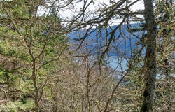 735 NW STRAWBERRY MOUNTAIN Rd, WhiteSalmon, WA 98672