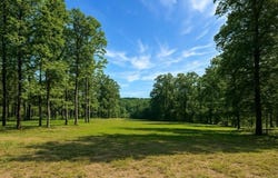 77 Watson Grande Way, Owens Cross Roads, AL 35763