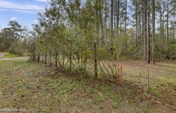 5535 Fulton Avenue lot: Tract 1&2, Castle Hayne, NC 28429