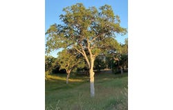 0 APN 190-160-05S, Yokuts Valley, CA 93675