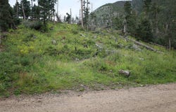 Hidden Valley Rd, Red River, NM 87558