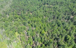 Off WATERSMEET LAKE RD, Eagle River, WI 54521