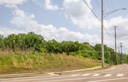 Old Brownsville Road, Bartlett, TN 38002