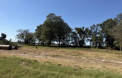 295 Law 511 Rd, Hoxie, AR 72433