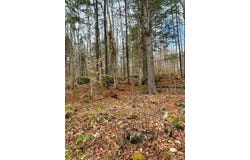 0 Sandy Beach Road, Danforth, ME 04424