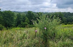 15711 Pfanstiehl Road, Demossville, KY 41033