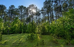 729 Eagles Harbor Dr, Hodges, SC 29653