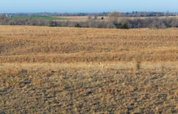 1 NW 150 RD, Harper, KS 67058
