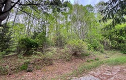 1640 Licklog Rd, Newland, NC 28657