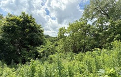 TBD Mozart Rd, Wheeling, WV 26003