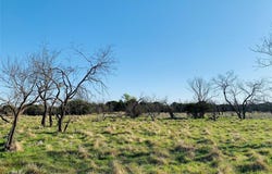 Lot  1 CRAWFORD Road, Graford, TX 76449