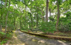 85 Dix Hills Road, Huntington, NY 11743