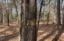 Tannenbaum Rd. lot: 78, Drasco, AR 72530