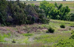 456 D Rd, Palco, KS 67657
