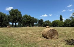 24200 Hwy O, Marshall, MO 65340