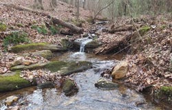 207 County Road 561, Woodland, AL 36280