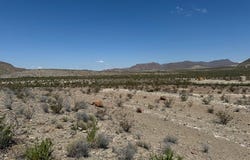 480 Doce Doe Path, Terlingua, TX 79852