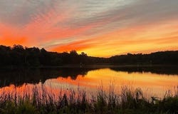 214 Private Road 8693, Winnsboro, TX 75494