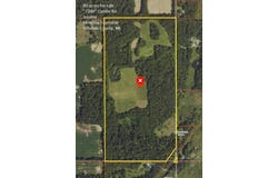 7200 Combs Road, Jerome, MI 49249