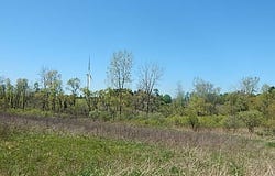 11480 N North Adams Road, North Adams, MI 49249