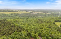 0 Beene Road, Greenbrier, AR 72058