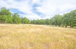 Livingston Way, Grants Pass, OR 97526