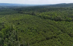1150 County Road 865, Collinsville, AL 35961