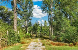 160 Brooke Lane, Wetumpka, AL 36092