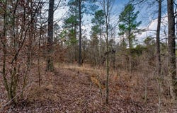 19 Lookout Lane, Kirby, AR 71950