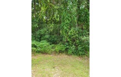 Lot 70 Lakeside Drive, Carriere, MS 39426