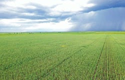 TBD Arpan Road, Nisland, SD 57762