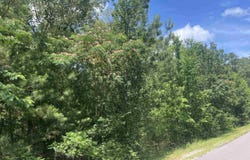 Lot 3 Meadow Creek Road, Glencoe, AL 35905