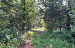 0 Mimeaux Court, Bonne Terre, MO 63628